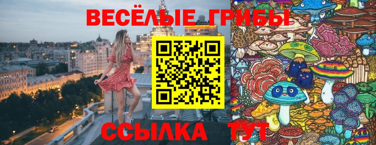 Галлюциногенные грибы ЛСД  Вход с VPN  Советская Гавань  Псилоцибиновые грибы Psilocybine cubensis 